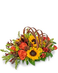 Creative Cornucopia from Olander Florist, fresh flower delivery in Chicago