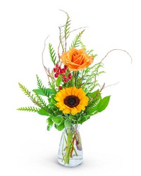 Tuscany from Olander Florist, fresh flower delivery in Chicago