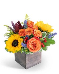 Larchmont Canyon from Olander Florist, fresh flower delivery in Chicago