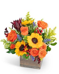 Rosewood Canyon  from Olander Florist, fresh flower delivery in Chicago