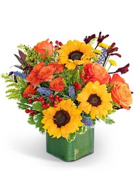 Hills of Tuscany from Olander Florist, fresh flower delivery in Chicago