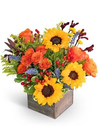 Canyon Blooms from Olander Florist, fresh flower delivery in Chicago
