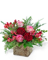 Radiant Rouge from Olander Florist, fresh flower delivery in Chicago