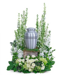 Eternal Peace Surround from Olander Florist, fresh flower delivery in Chicago
