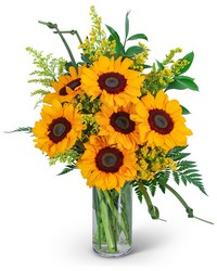 Sunflowers and Love Knots from Olander Florist, fresh flower delivery in Chicago