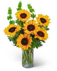 Sunflowers and Bells from Olander Florist, fresh flower delivery in Chicago