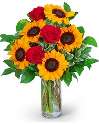Rosy Sunflowers from Olander Florist, fresh flower delivery in Chicago