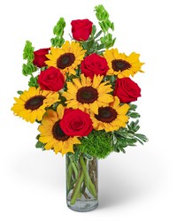 Sunny Love from Olander Florist, fresh flower delivery in Chicago