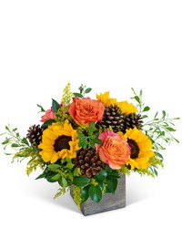 Harvest Sunburst Harmony from Olander Florist, fresh flower delivery in Chicago