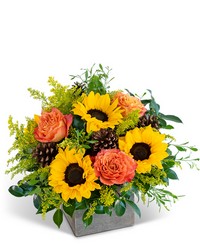 Woodland Sunshine from Olander Florist, fresh flower delivery in Chicago