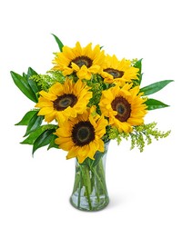 Sprinkle of Sunflowers from Olander Florist, fresh flower delivery in Chicago