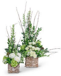 Grace and Elegance from Olander Florist, fresh flower delivery in Chicago