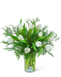 Winter White Tulips from Olander Florist, fresh flower delivery in Chicago