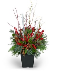 Winter Porch Pot from Olander Florist, fresh flower delivery in Chicago