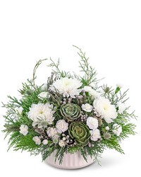 Arctic Aura from Olander Florist, fresh flower delivery in Chicago