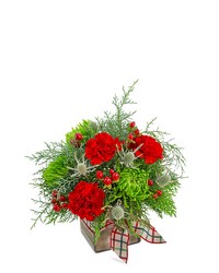 Plaid Tidings from Olander Florist, fresh flower delivery in Chicago