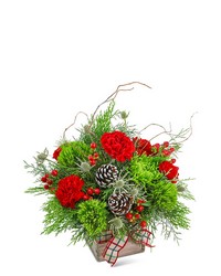 Festive Tidings from Olander Florist, fresh flower delivery in Chicago