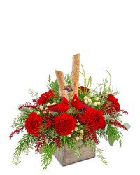 Woodland Cardinal Cheer from Olander Florist, fresh flower delivery in Chicago