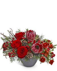 Noir Noel from Olander Florist, fresh flower delivery in Chicago