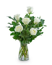 White Roses (6) from Olander Florist, fresh flower delivery in Chicago