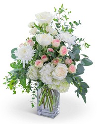I'm Blushing from Olander Florist, fresh flower delivery in Chicago
