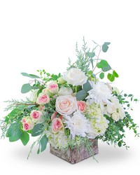 Wintry Birch Blooms from Olander Florist, fresh flower delivery in Chicago