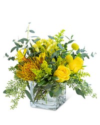 Belle De Jour from Olander Florist, fresh flower delivery in Chicago