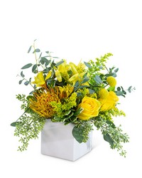 Radiance from Olander Florist, fresh flower delivery in Chicago