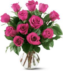 12 Hot Pink Roses from Olander Florist, fresh flower delivery in Chicago