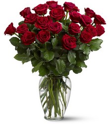 Two Dozen Red Roses from Olander Florist, fresh flower delivery in Chicago